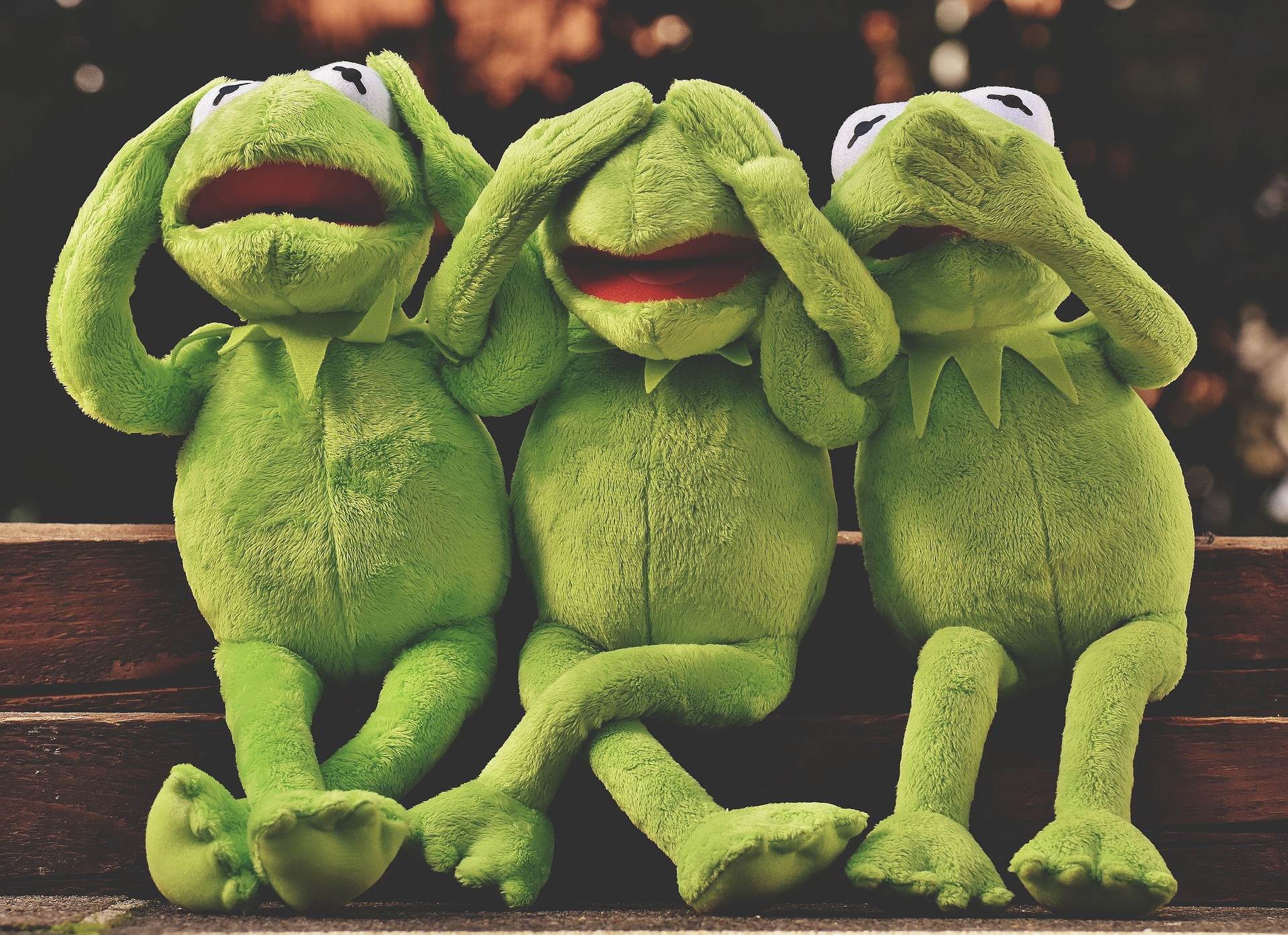 Frogs - see no evil, speak no evil, hear no evil